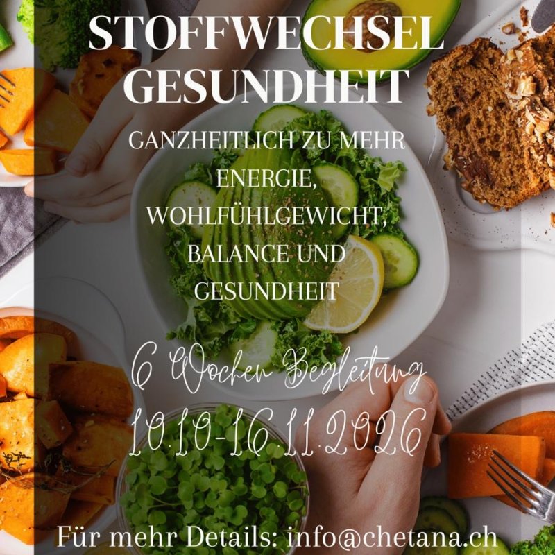 Stoffwechsel Gesundheit
